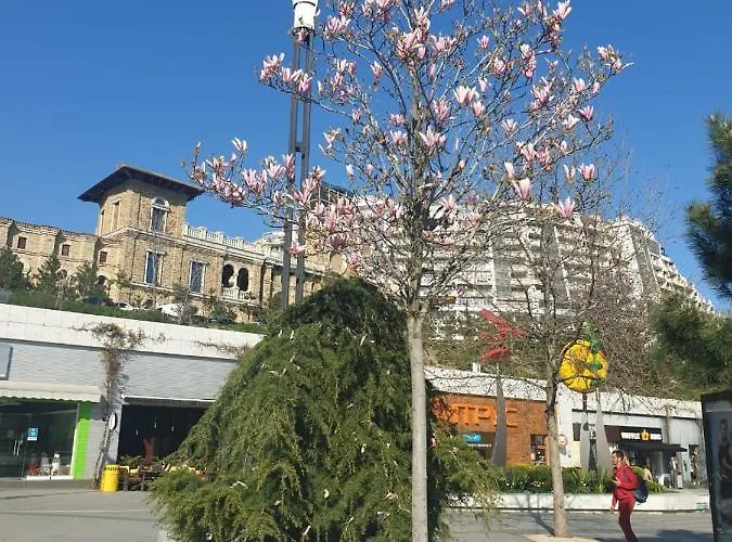 Comfortable Near The Sea . Odesa
