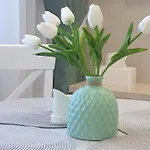 Comfortable Near The Sea .